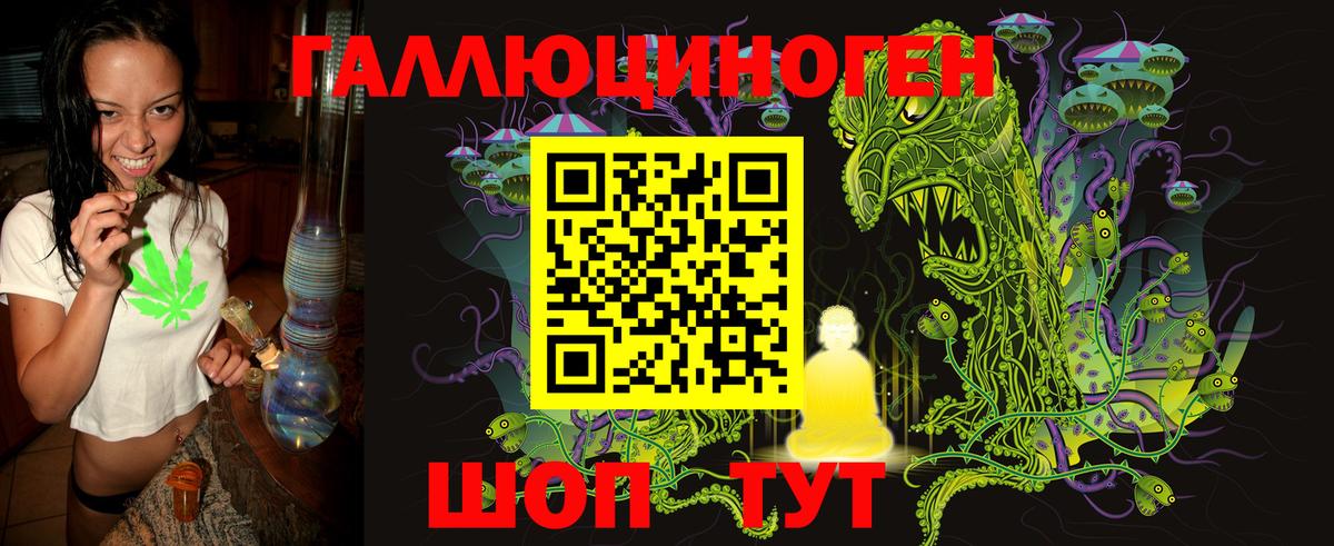 Псилоцибиновые грибы Psilocybine cubensis  Вход с VPN  Туймазы 